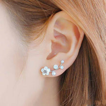 Load image into Gallery viewer, Crystal Earring