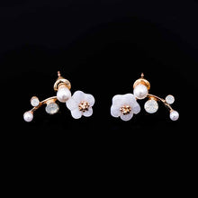 Load image into Gallery viewer, Crystal Earring