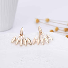 Load image into Gallery viewer, Fashion Earring